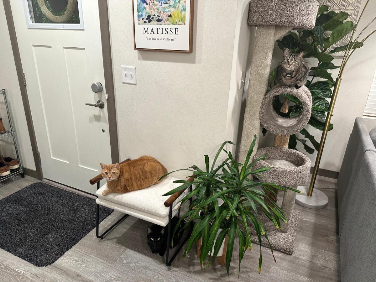 Central Tacoma Homestay With Breakfast Included -Private Room- Extérieur photo
