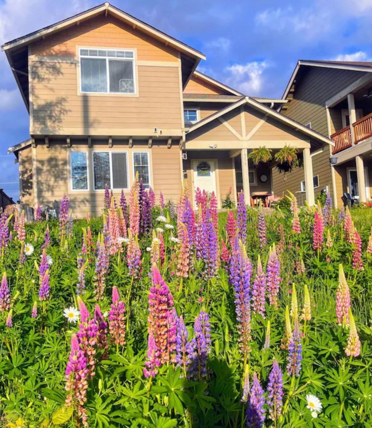 Central Tacoma Homestay With Breakfast Included -Private Room- Extérieur photo